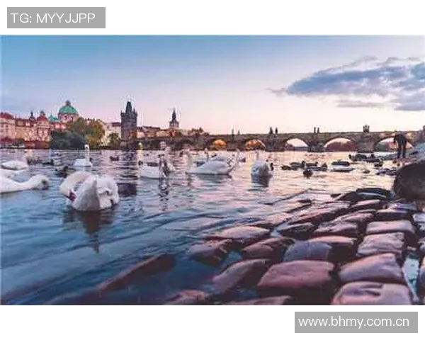 探索布莱克尼的魅力与历史深度，感受这座城市的独特韵味与文化底蕴