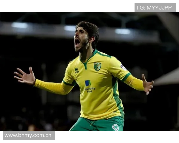 诺维奇与伊普斯维奇的激烈对决揭示英冠赛季新动态