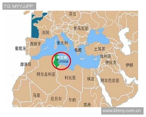 加纳与突尼斯历史交锋战绩分析及未来展望 加纳与突尼斯历史交锋战绩分析及未来展望