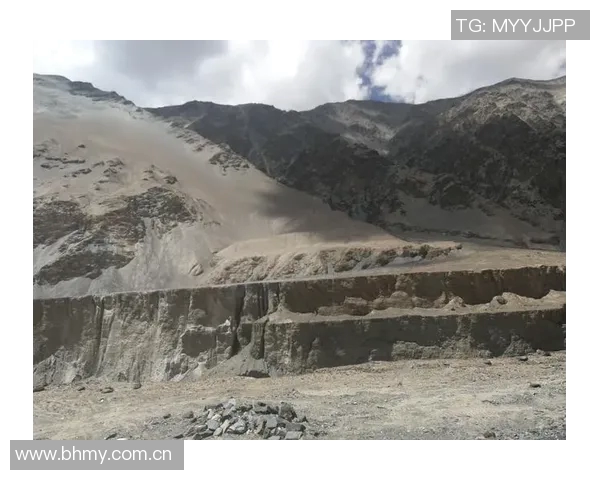 深度对话：探索陈秀英在英雄联盟中的成长与挑战之路