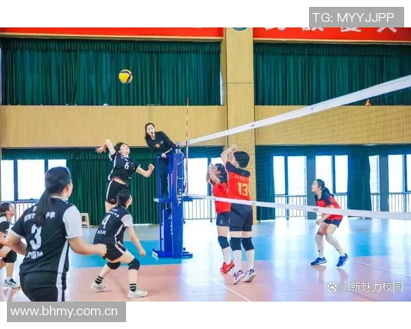 南京排球队实力分析与发展潜力探讨聚焦排球运动的未来之路 南京排球队实力分析与发展潜力探讨聚焦排球运动的未来之路