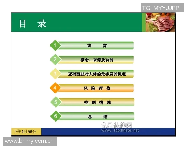 北京极限运动队整体表现分析与压制策略的得失评估