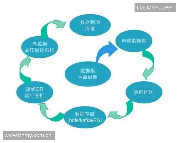 西安羽毛球队技术表现的深入数据分析与未来发展建议